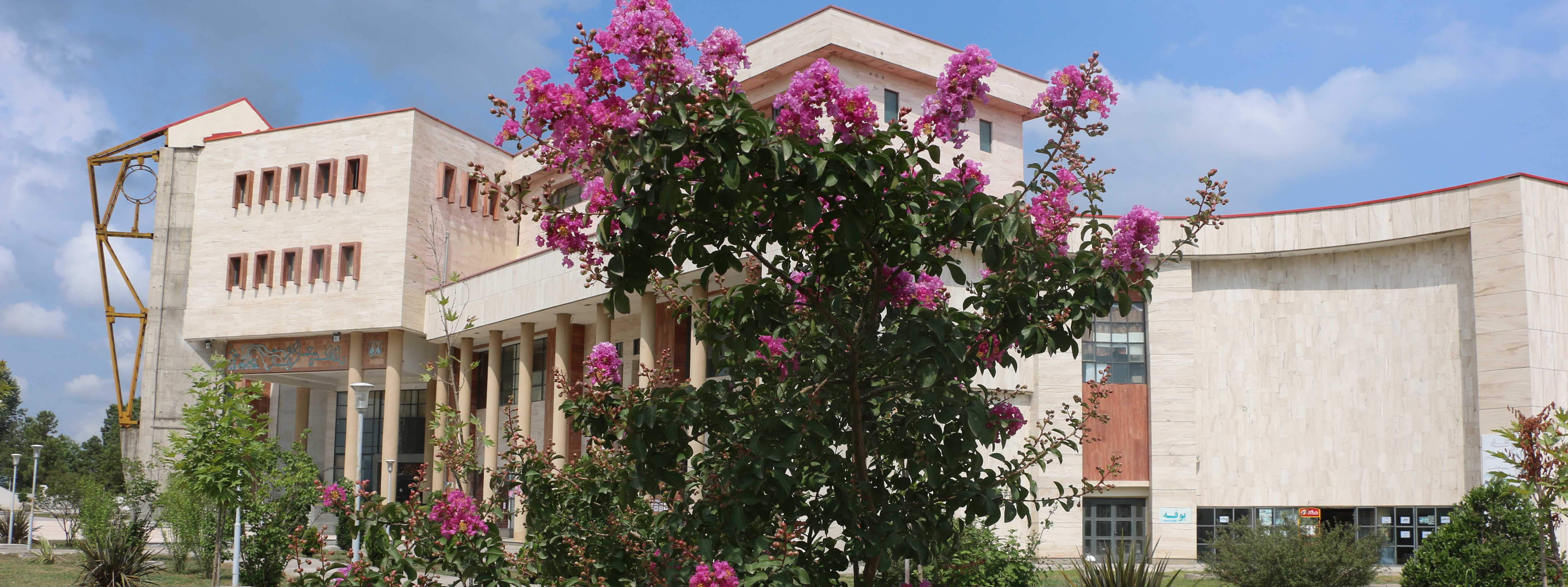 صورة مصغّرة